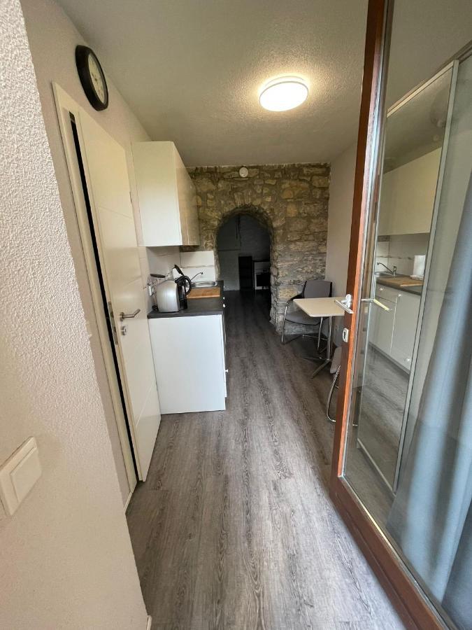 City Apartment Bad Saeckingen Mit Parkplatz Екстериор снимка